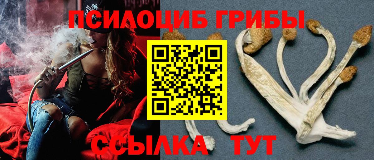 Псилоцибиновые грибы Magic Shrooms Рыбинск